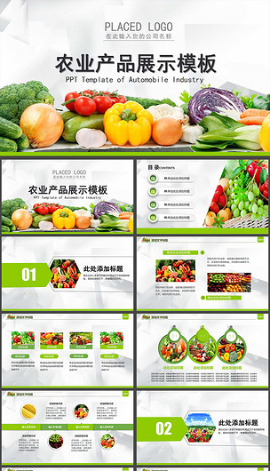 绿色生态农业水果蔬菜农产品线条简明绚丽多彩P下载-编号16183343-施工方案文本